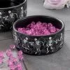 Danse Macabre Small Pet Bowl