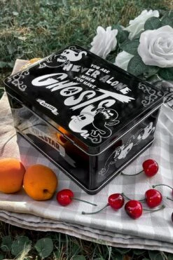 Spirit Friends Lunch Box